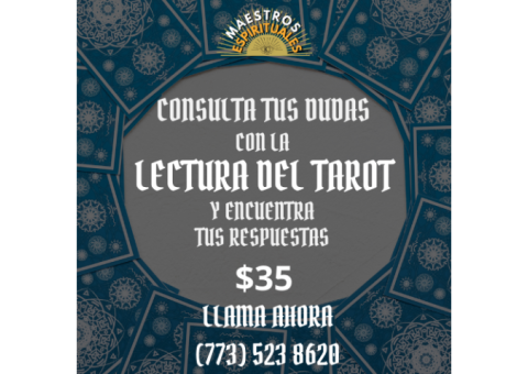 Ven por tu Lectura de tarot en illinois