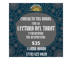 Ven por tu Lectura de tarot en illinois