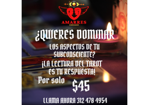 Visita mi Botánica y obten tu lectura