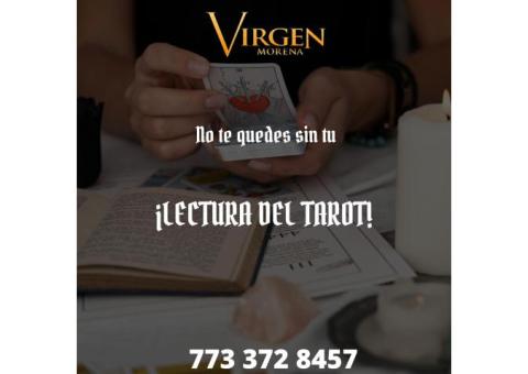 Lectura del Tarot Chicago | La Mejor Botánica En La Ciudad