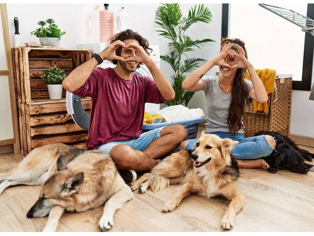 Property Manager Solutions in Virginia Beach