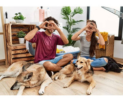 Property Manager Solutions in Virginia Beach