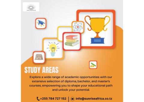 Educational Consultation Industry in the Tanzania