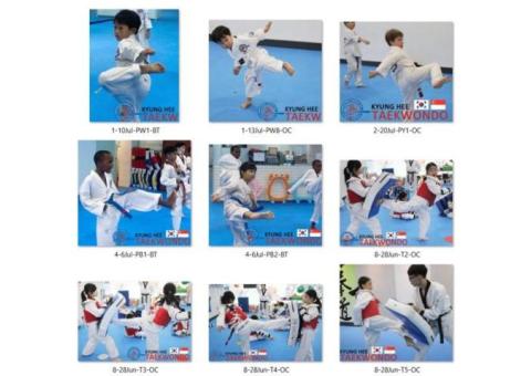 TKD: make taekwondo kicking training your daily workout