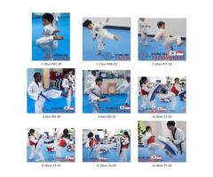 TKD: make taekwondo kicking training your daily workout