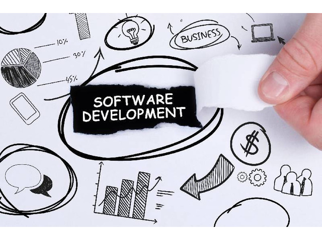 Custom Software Development for Startups