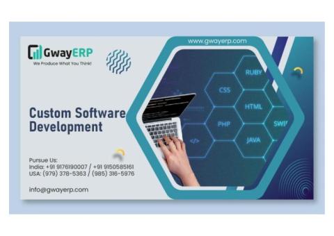 Top Customized Software Developers
