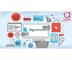 Maximise your sales with bigcommerce product upload services