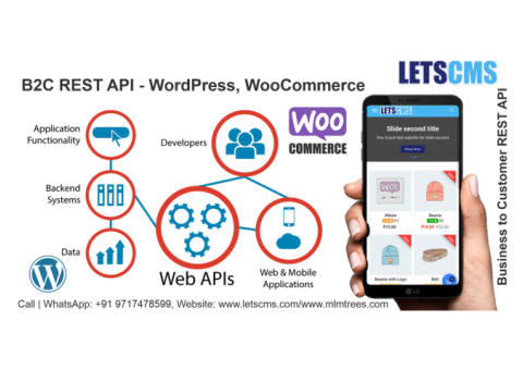 WooCommerce B2C | Business To Customer REST API Addons