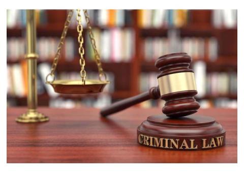 Experienced Palm Beach Criminal Defense Attorney