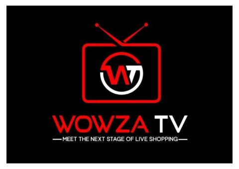 Affordable Roku TV Channel Launch for Your Online Business