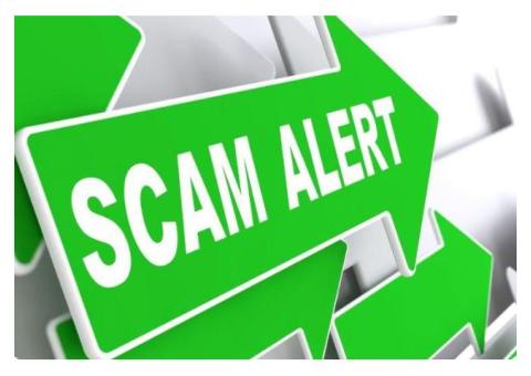 WHAT YOU NEED TO REPORT A SCAMMER 2023