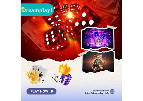 9Wickets Betting Exchange App in India