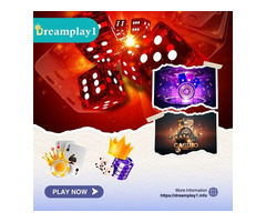 9Wickets Betting Exchange App in India