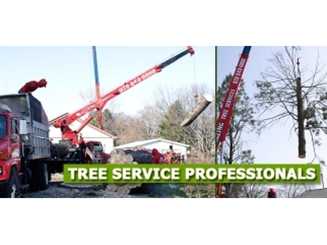 Commercial Tree Removal Morris County, NJ – Amazing Tree Services