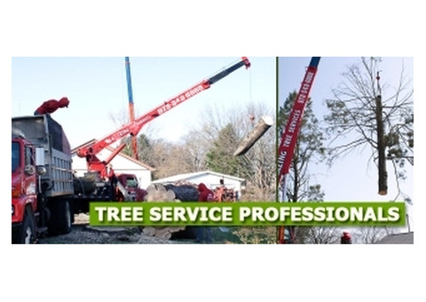 Commercial Tree Removal Morris County, NJ – Amazing Tree Services
