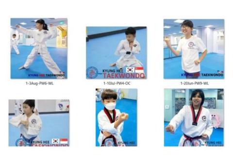 TKD teaches the techniques of blocking attacks with hands or feet