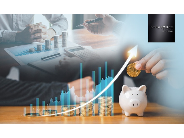 Professional Wealth Management Services for Long-Term Financial Growth