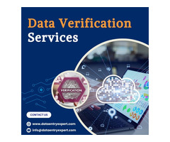 Outsource Data Verification Services in India