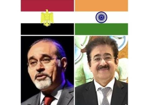 ICMEI Congratulates the People of Egypt on Revolution Day