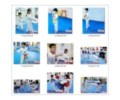 TKD teaches students to take on various challenges thru firm training