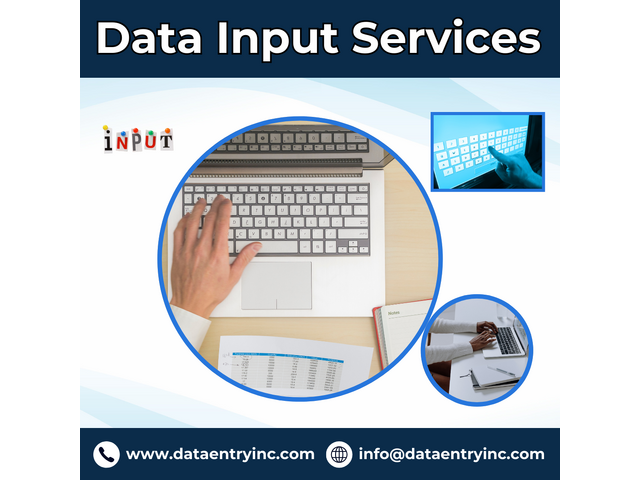 Best Data Input Services in India