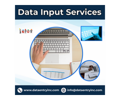 Best Data Input Services in India