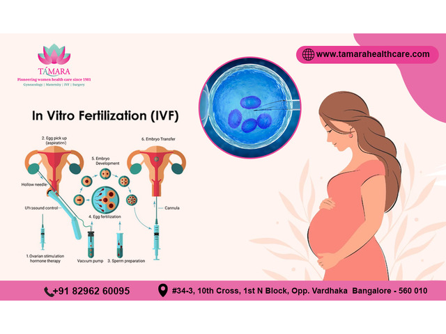 Experienced IVF Specialist Doctor in Bangalore