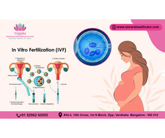 Experienced IVF Specialist Doctor in Bangalore