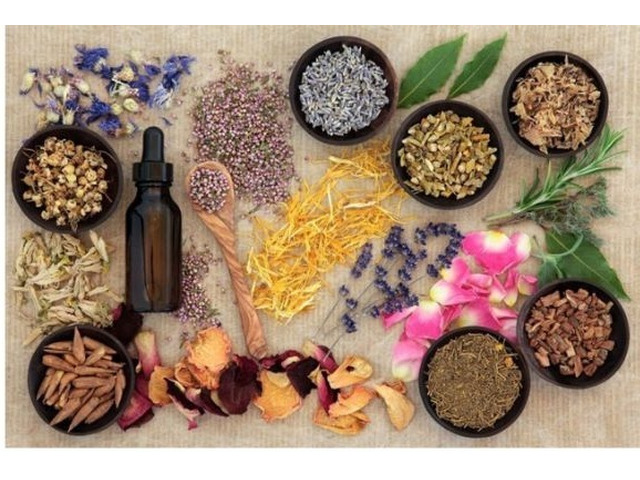 Best Prolapse Uterus Treatment Non Surgical 