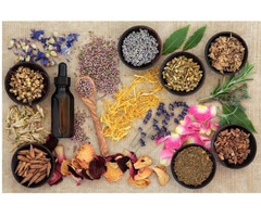 Best Prolapse Uterus Treatment Non Surgical 