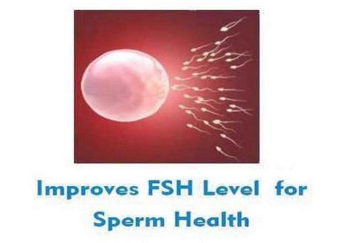 Male Infertility Treatment in India