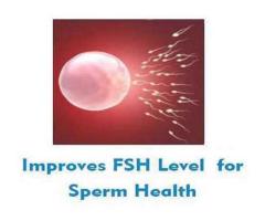 Male Infertility Treatment in India