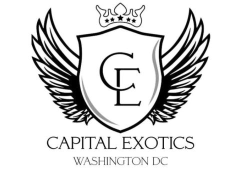 Capital Exotic