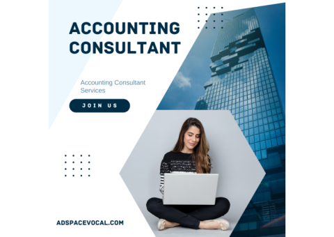 Accounting Consultant Services