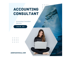 Accounting Consultant Services