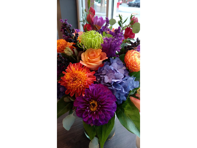 Shrubs That Shape Outdoor Spaces With Strength and Style