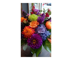 Shrubs That Shape Outdoor Spaces With Strength and Style