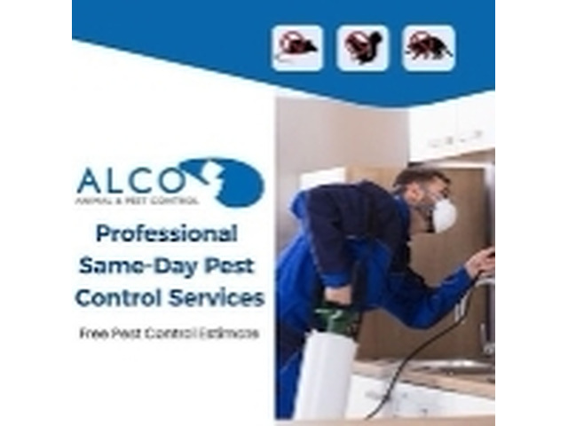 Get Rid Of Rats in Bergen County, NJ Safe and Effective Pest Control