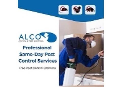 Get Rid Of Rats in Bergen County, NJ Safe and Effective Pest Control