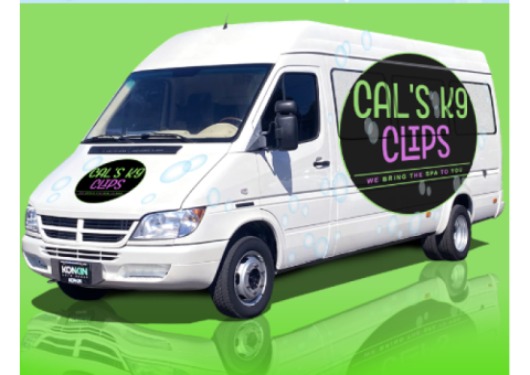 Convenient Dog Grooming Near Waxahachie