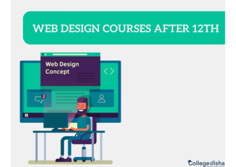Web Design Courses After 12th