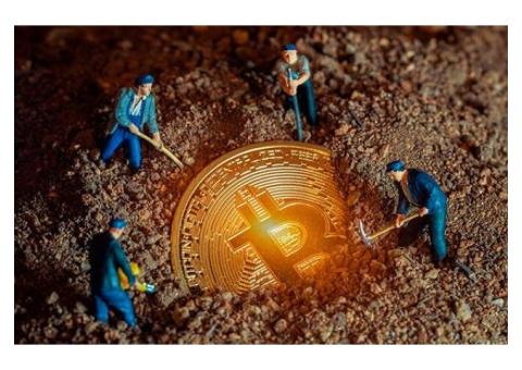 Trusted bitcoin investment sites 2021