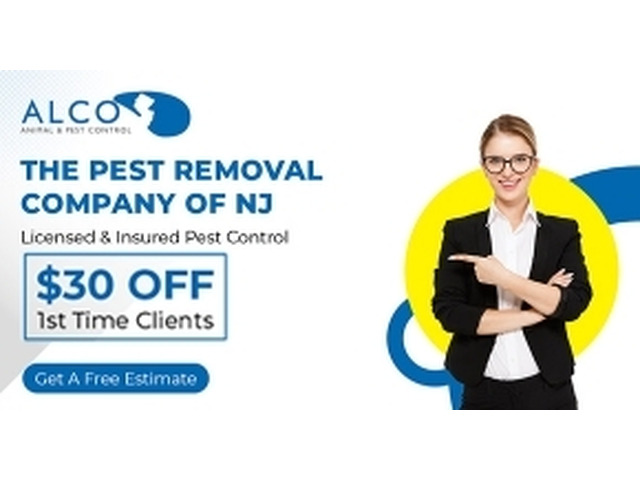 Pest Inspection NJ – Thorough, Reliable, and Professional