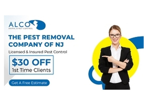 Pest Inspection NJ – Thorough, Reliable, and Professional