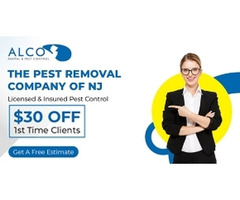 Pest Inspection NJ – Thorough, Reliable, and Professional