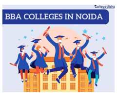 BBA colleges in Noida