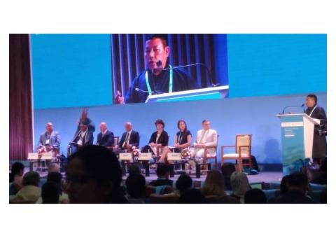 Conference Interpretation