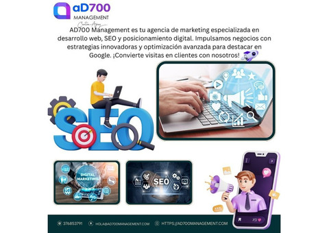Servicio de Diseño Web en Andorra con Enfoque SEO