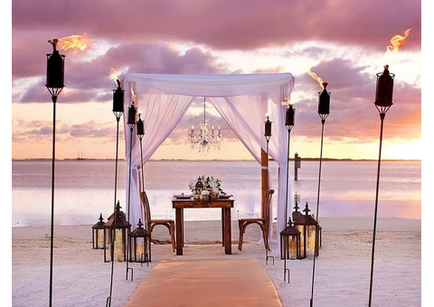 Get the Best Key West Wedding Coordinator